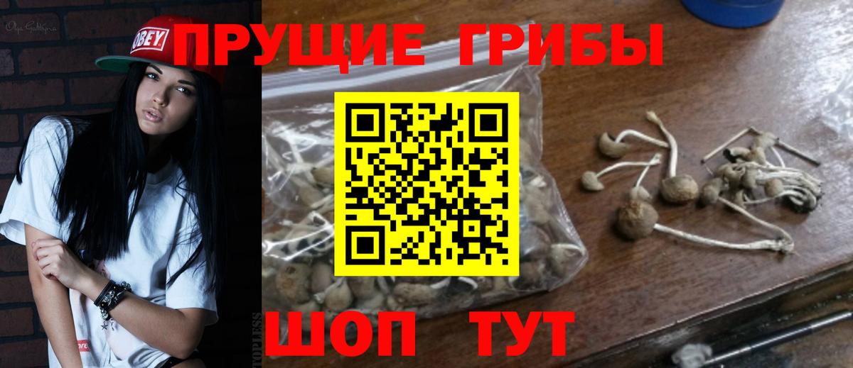 Галлюциногенные грибы Psilocybe  Вход с VPN  Борисоглебск 