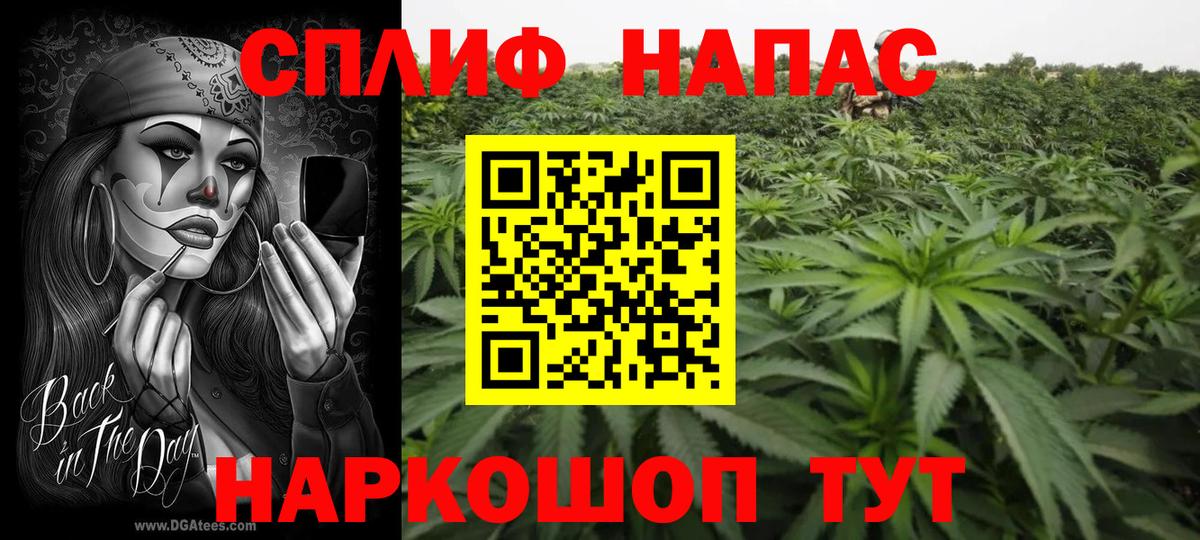 МАРИХУАНА семена Борисоглебск